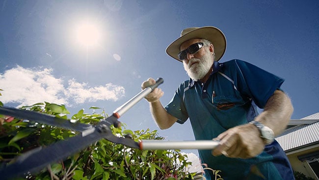 Laurie trimming hedge_web